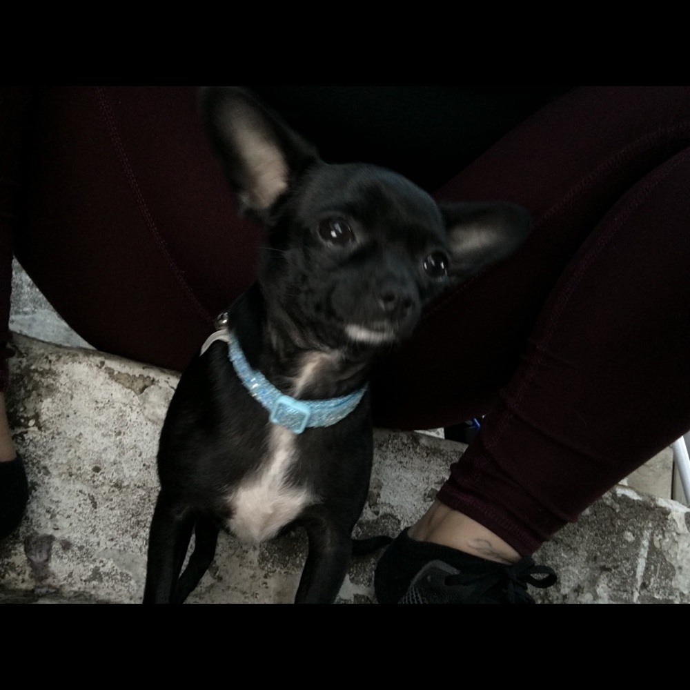 Meet your Posher, Nene